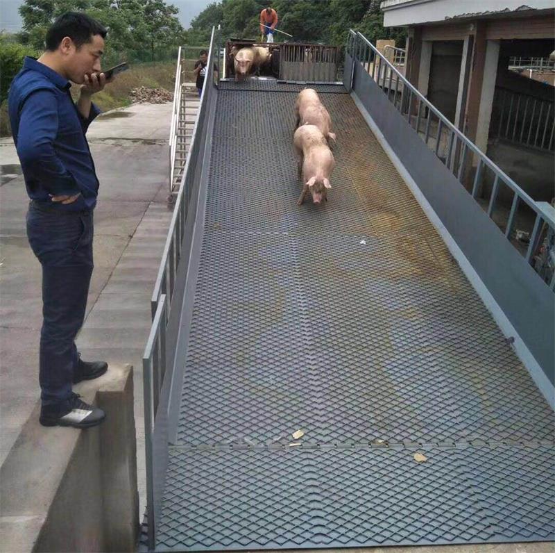 卸猪台液压升降机 卸猪台液压升降机
